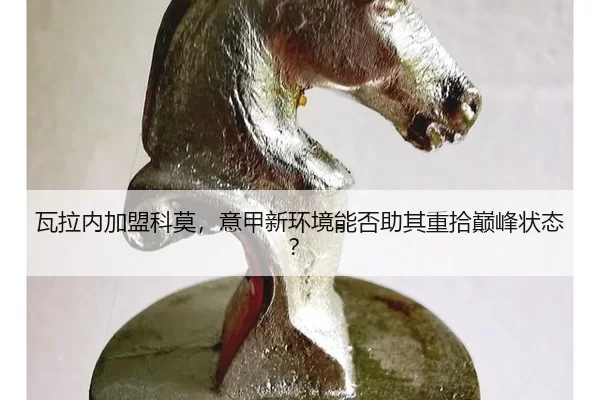 wa-la-nei-jia-meng-ke-mo-yi-jia-xin-huan-jing-neng-fou-zhu-qi-zhong-shi-dian-feng-zhuang-tai-2-115.jpg