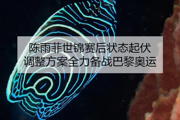 陈雨菲世锦赛后状态起伏 调整方案全力备战巴黎奥运